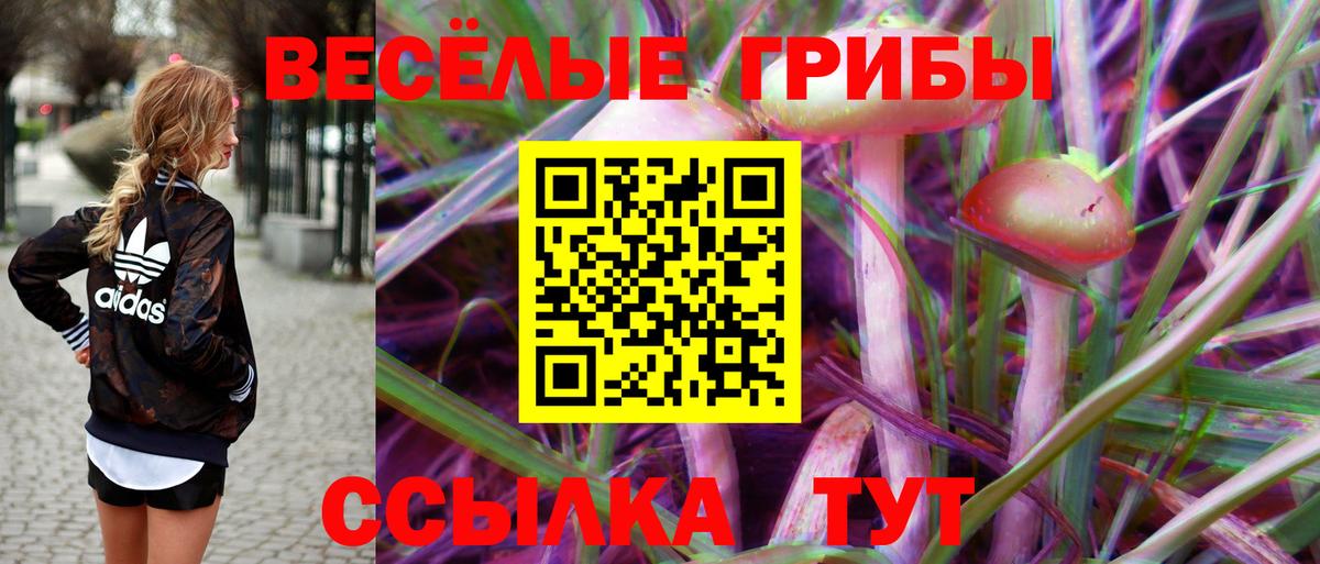 Галлюциногенные грибы Magic Shrooms Луховицы