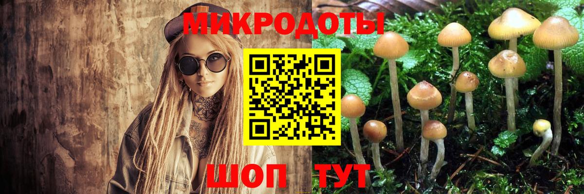 Галлюциногенные грибы Magic Shrooms  Вход с VPN  Псилоцибиновые грибы Cubensis  где найти наркотики  Луховицы 